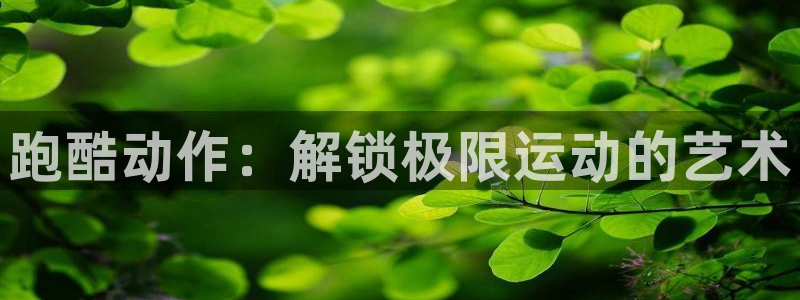 必发集团官网平台|跑酷动作：解锁极限运动的艺术