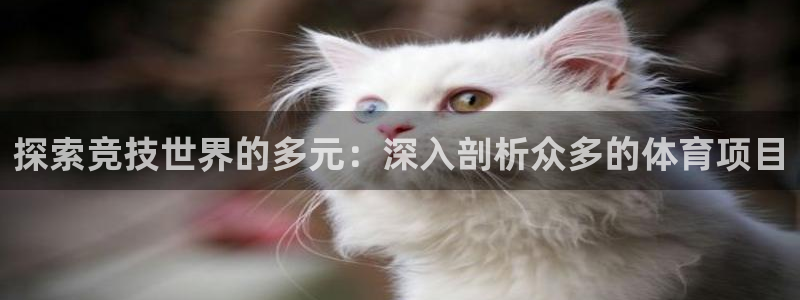 必发集团网站检查线路|探索竞技世界的多元：深入剖析众多的体育