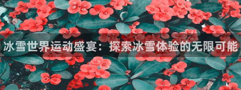 welcome必发集团|冰雪世界运动盛宴：探索冰雪体验的无限