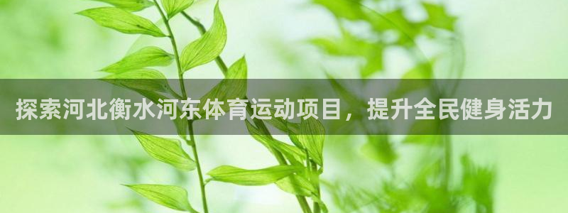 必发集团app|探索河北衡水河东体育运动项目，提升全民健身活