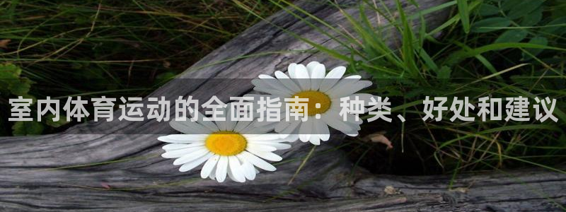 home88—必发唯一官网|室内体育运动的全面指南：种类、好