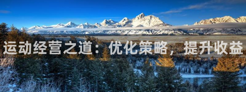 必发BIFA官方网站|运动经营之道：优化策略，提升收益