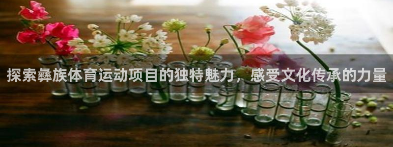 必发bf88|探索彝族体育运动项目的独特魅力，感受文化传承的