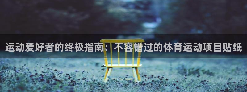 必发集团|运动爱好者的终极指南：不容错过的体育运动项目贴纸