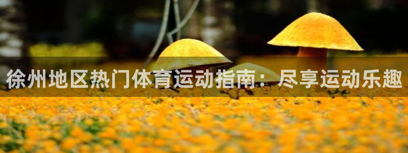 必发888唯一官网|徐州地区热门体育运动指南：尽享运动乐趣