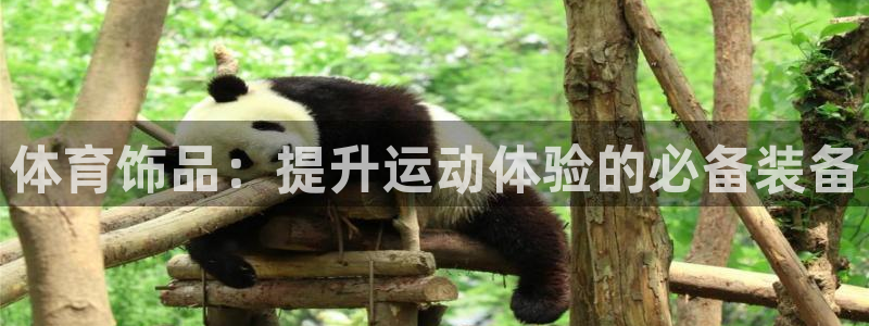 必发集团网址8860|体育饰品：提升运动体验的必备装备