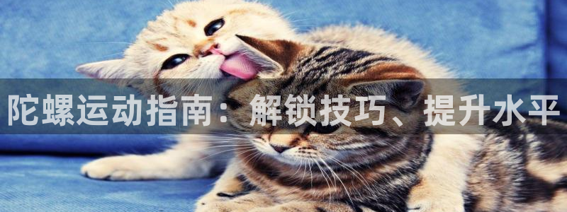 必发集团平台|陀螺运动指南：解锁技巧、提升水平