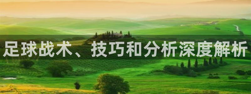 6690必发集团|足球战术、技巧和分析深度解析
