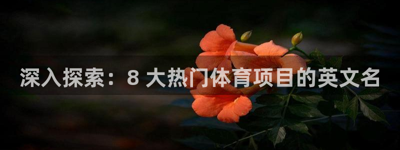 必发集团9778|深入探索：8 大热门体育项目的英文名