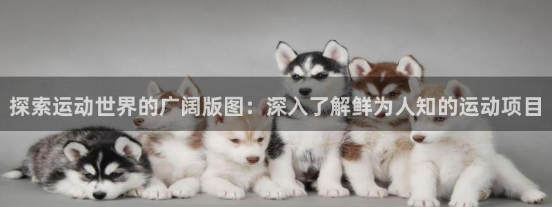 welcometo欢迎光临必发集团