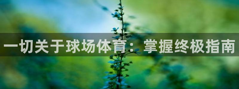 必发BIFA官方网站