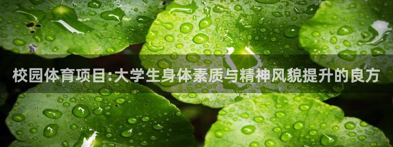 bifa必发·唯一中国官方网站