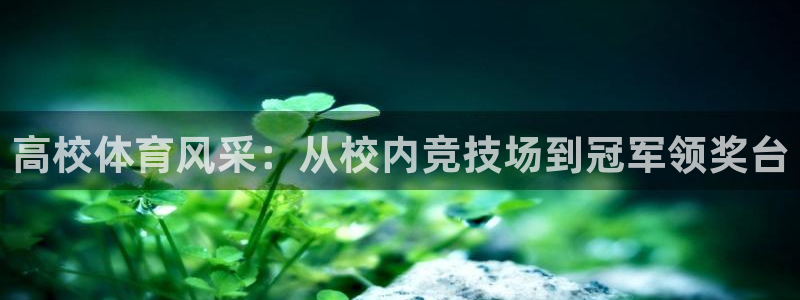 必发集团app