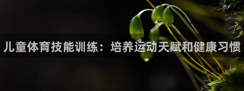 home一必发官网