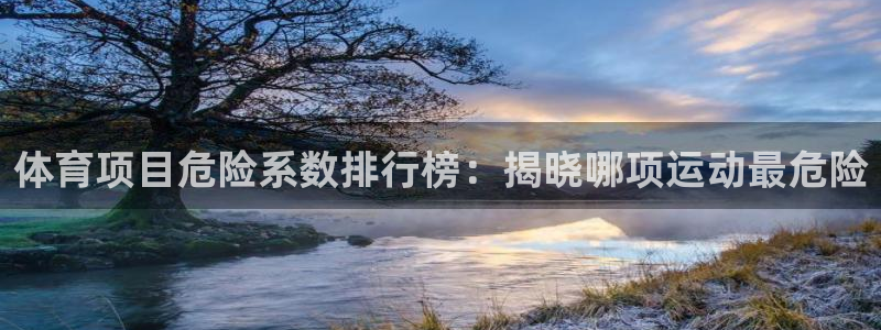 必发集团网站大全