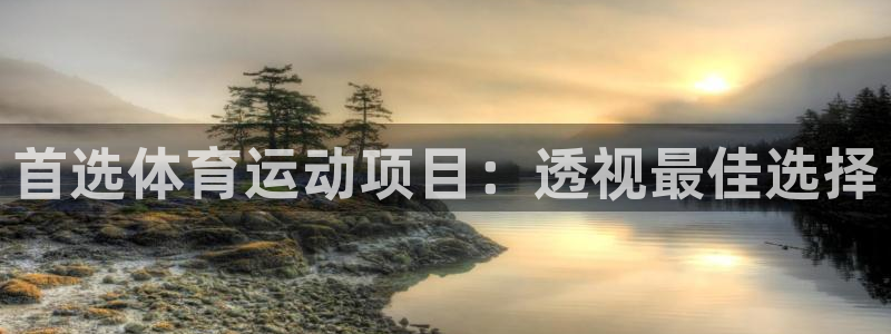 必发集团最新版本