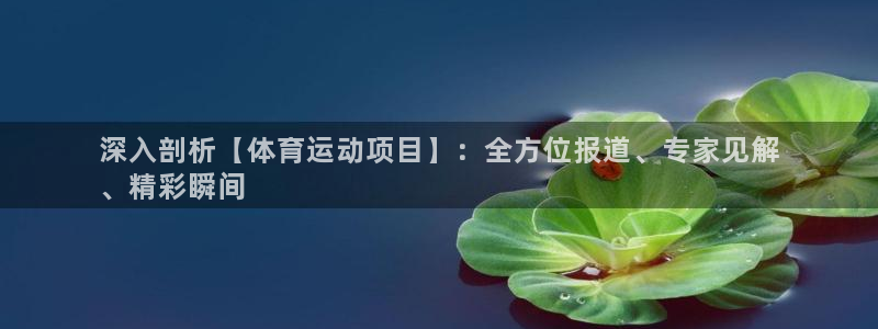 bifa必发·唯一中国官方网站