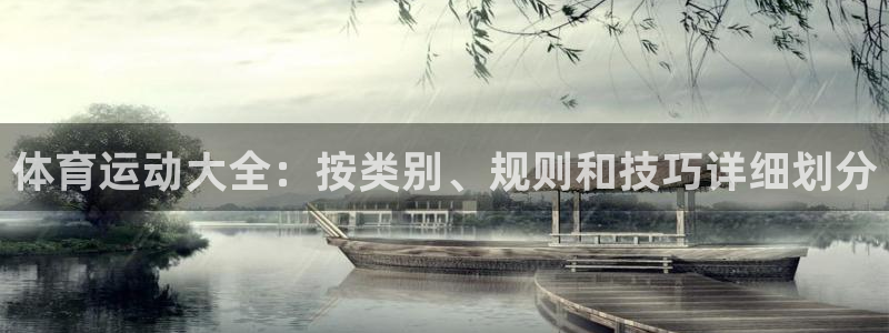 必发集团welcome|体育运动大全：按类别、规则和技巧详细