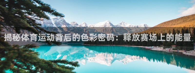 必发BIFA官方网站