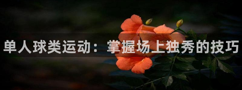 home88—必发唯一官网