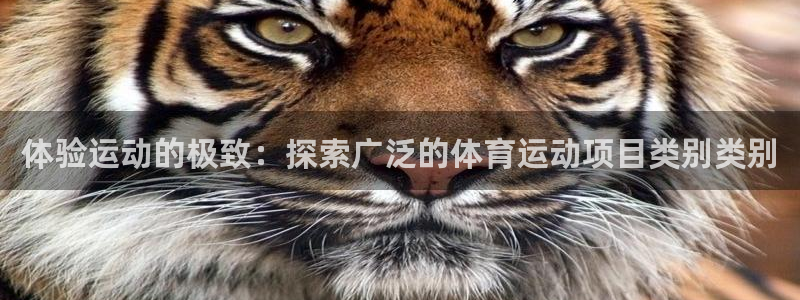 必发BIFA官方网站