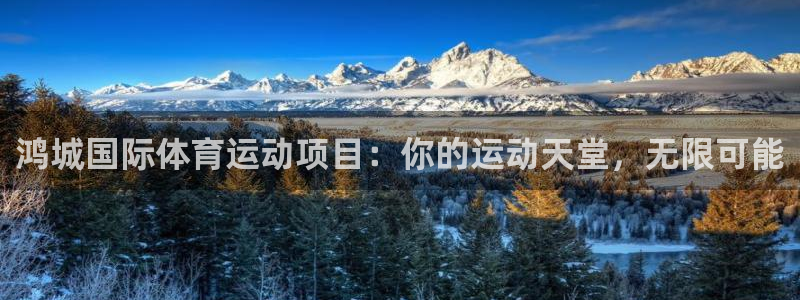 必发集团9778