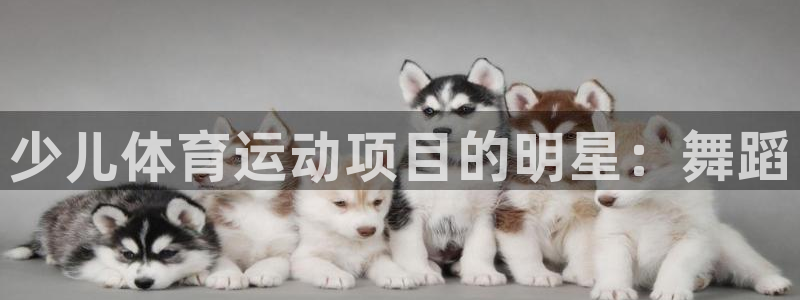 必发集团最新版本