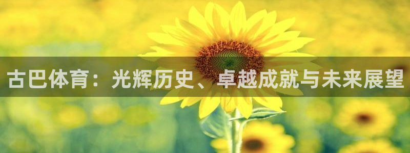 6690必发集团