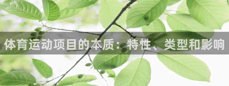 home一必发官网