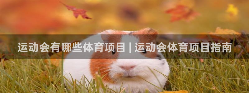bifa必发·唯一中国官方网站