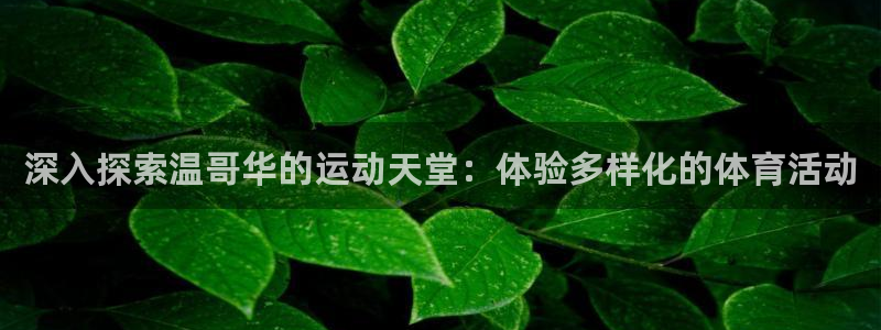 必发bf88