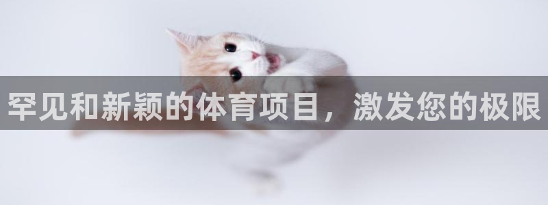 必发集团平台