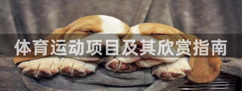 必发集团