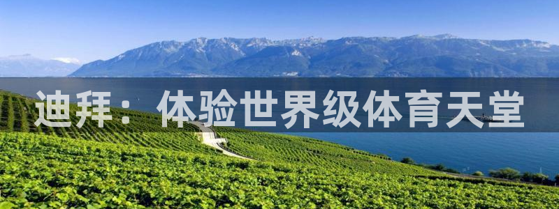 必发集团welcome|迪拜：体验世界级体育天堂